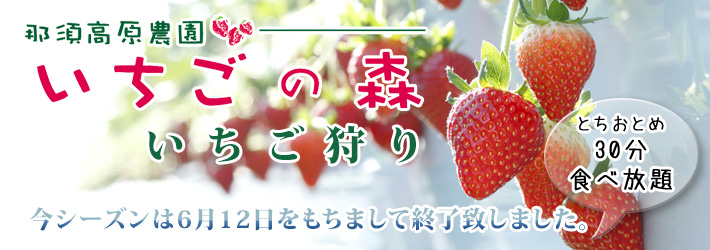 とちおとめ30分食べ放題