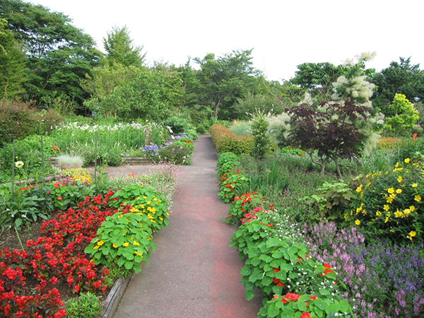 那須 花と体験の森 施設のご案内 お菓子の城 那須ハートランド