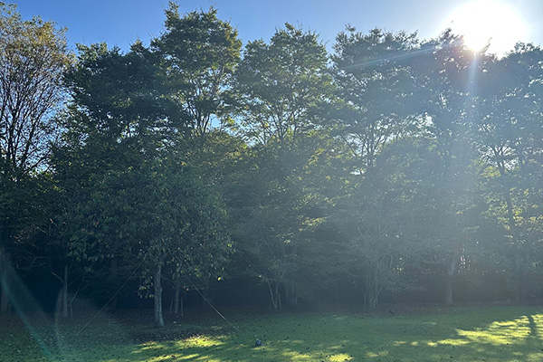 風呂からの景色